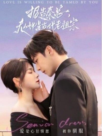 《报告秦总，夫人她是古代老祖宗》免费在线观看短剧高清全集完整版