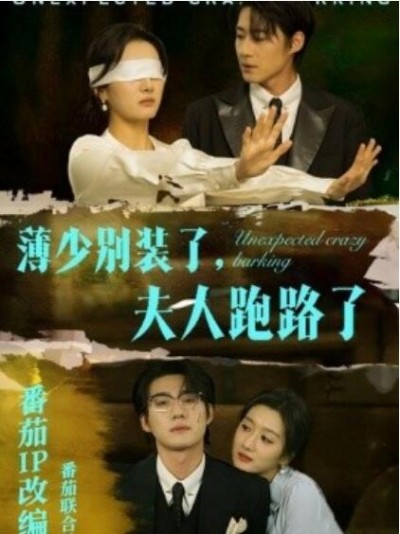《薄少别装了，夫人跑路了》短剧高清全集免费在线观看播放完整版