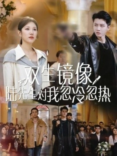 《双生镜像，陆先生对我忽冷忽热》免费在线观看短剧高清全集完整版