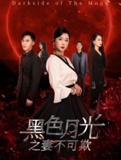 《黑色月光之妻不可欺》短剧高清全集免费在线观看