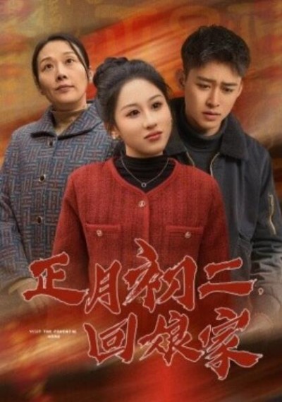 《正月初二，回娘家》短剧高清全集免费在线观看