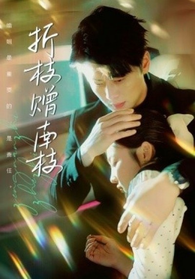 《折枝赠南枝》免费在线观看短剧高清全集完整版