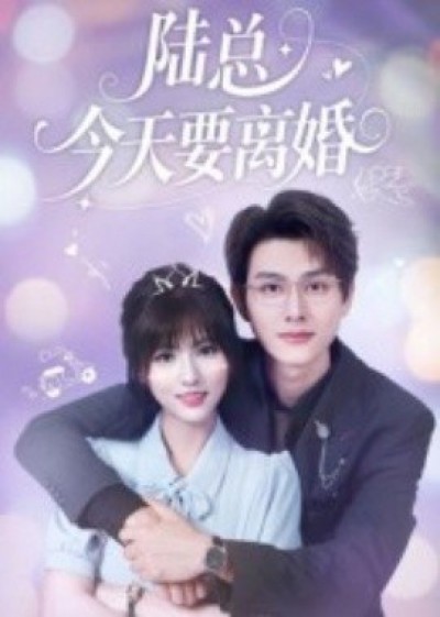 《陆总今天要离婚》免费在线观看短剧高清全集完整版