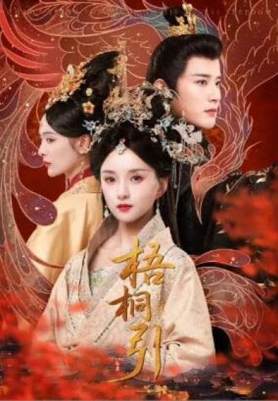 《梧桐引》免费在线观看短剧高清全集完整版