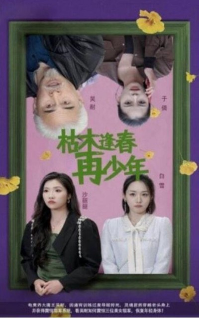 《枯木逢春再少年》短剧高清全集免费在线观看播放完整版