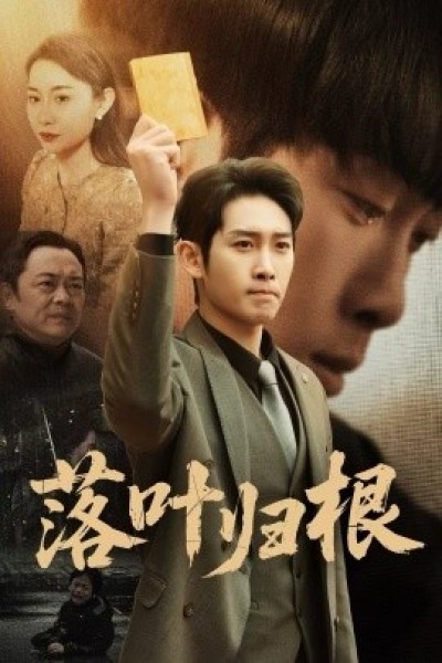 《落叶归根》免费在线观看短剧高清全集完整版