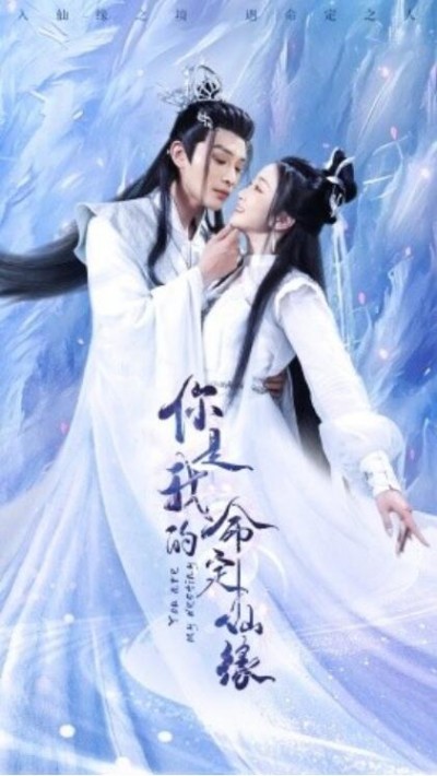 《你是我的命定仙缘》免费在线观看短剧高清全集完整版