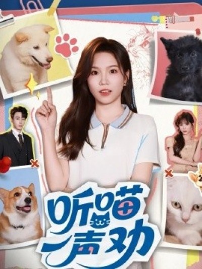 《听喵一声劝》免费在线观看短剧高清全集完整版