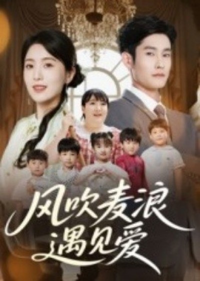 《风吹麦浪遇见爱》免费在线观看短剧高清全集完整版