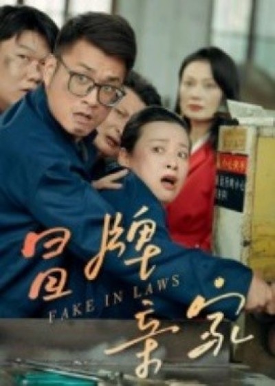 《冒牌亲家》免费在线观看短剧高清全集完整版