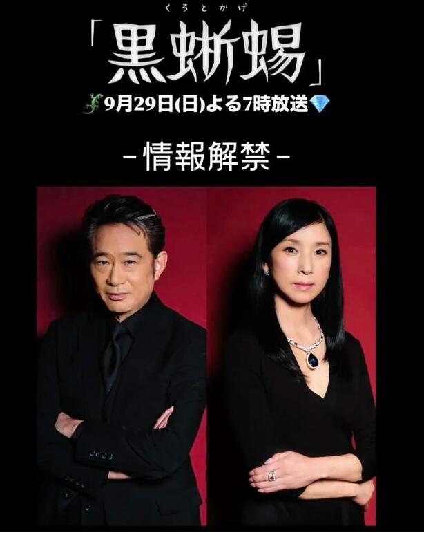 《黑蜥蜴》电视剧高清全集免费在线观看  第1张