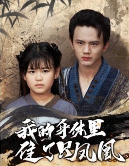 《我的身体里住了只凤凰》短剧高清全集免费在线观看  第1张