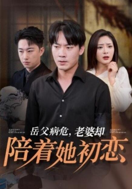 《岳父病危，老婆却陪着她初恋》短剧高清全集免费在线观看  第1张