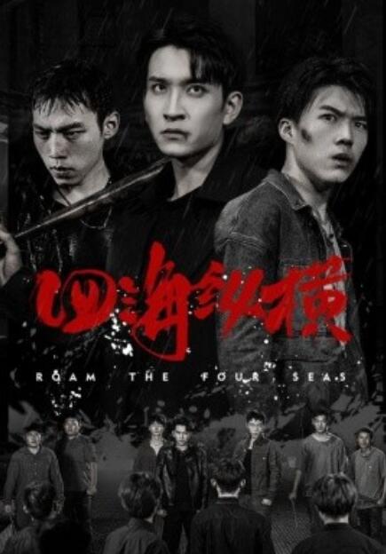 《四海纵横》短剧高清全集免费在线观看  第1张