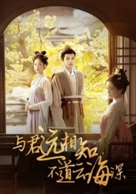 《与君远相知，不道云海深》短剧高清全集免费在线观看  第1张