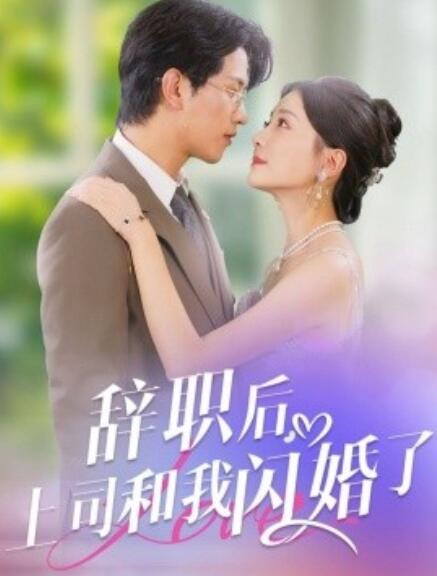 《辞职后，上司和我闪婚了》短剧高清全集免费在线观看  第1张