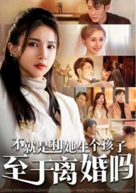 《不就是和她生个孩子至于离婚吗》短剧高清全集免费在线观看  第1张