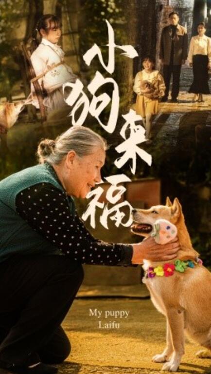 《小狗来福》短剧高清全集免费在线观看  第1张