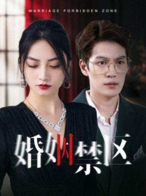 《婚姻禁区》短剧高清全集免费在线观看  第1张