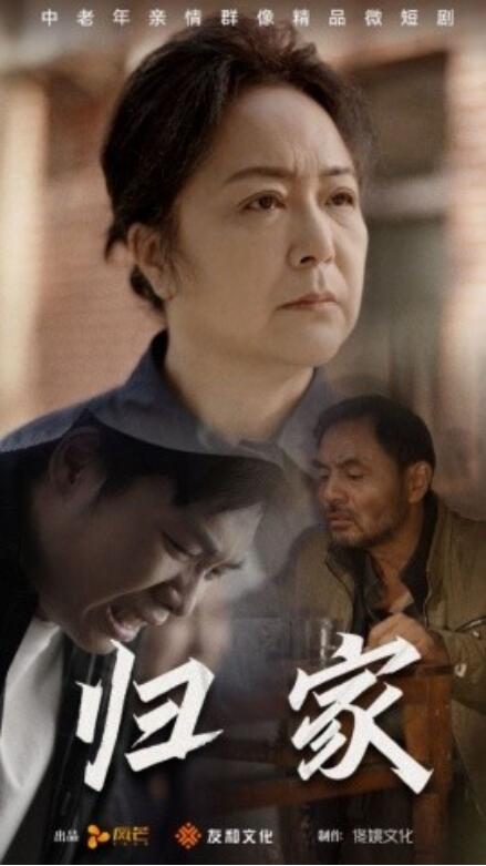 《归家》短剧高清全集免费在线观看  第1张