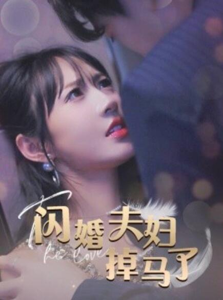 《闪婚夫妇掉马了》短剧高清全集免费在线观看  第1张