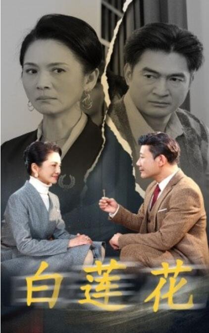 《白莲花》短剧高清全集免费在线观看  第1张