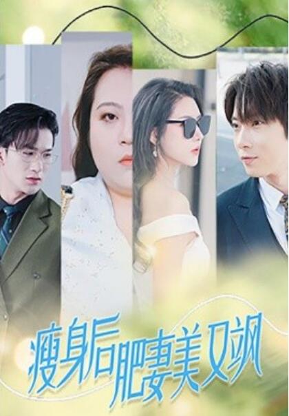 《瘦身后肥妻美又飒》短剧高清全集免费在线观看  第1张