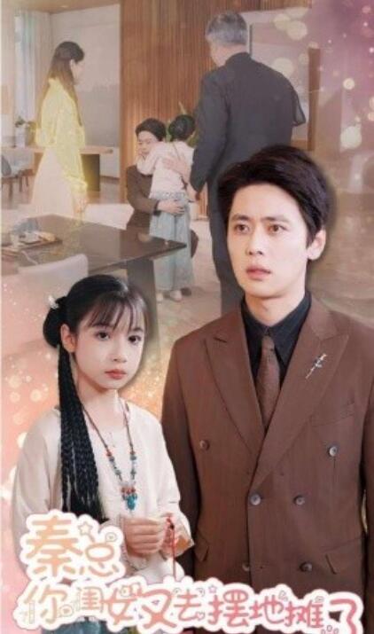 《秦总你闺女又去摆地摊了》短剧高清全集免费在线观看  第1张