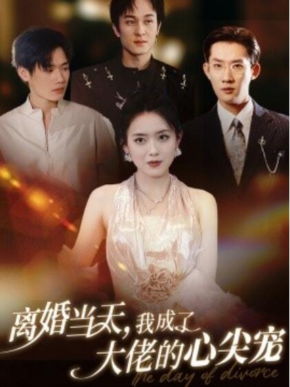 《离婚当天，我成了大佬的心尖宠》短剧高清全集免费在线观看  第1张