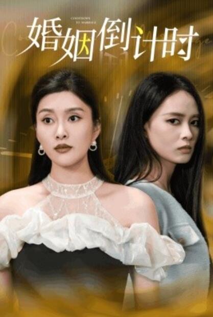 《婚姻倒计时》短剧高清全集免费在线观看  第1张