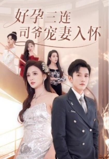 《好孕三连，司爷宠妻入怀》短剧高清全集免费在线观看  第1张