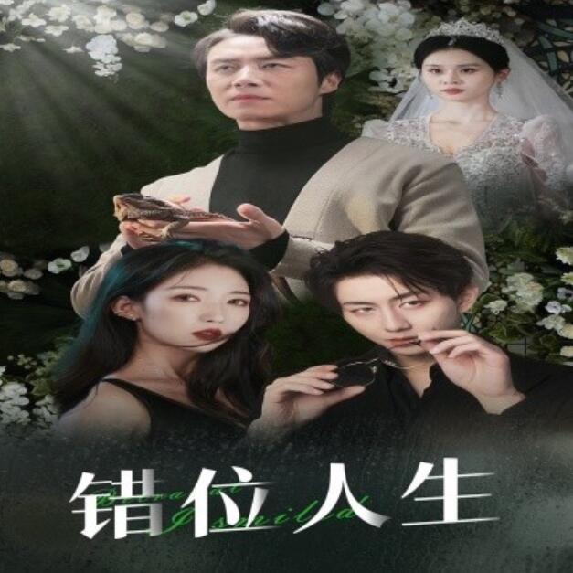 《错位人生》短剧高清全集免费在线观看  第1张