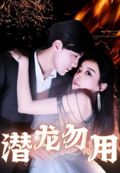 《潜龙勿用》短剧高清全集免费在线观看  第1张