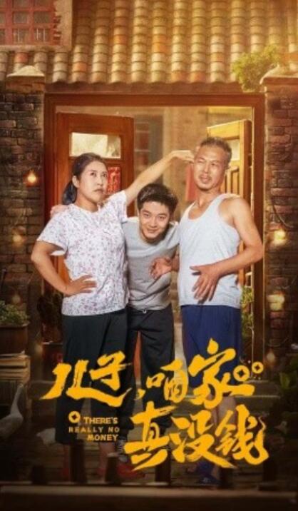 《儿子，咱家真没钱》短剧高清全集免费在线观看  第1张