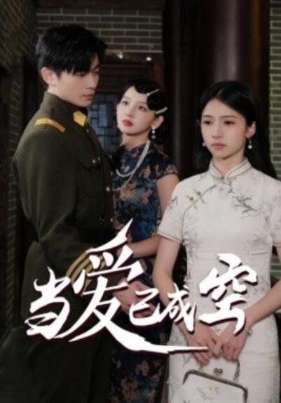《当爱已成空》短剧高清全集免费在线观看  第1张