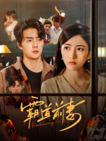 《霸道前妻》短剧高清全集免费在线观看  第1张