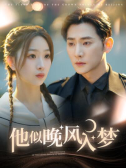 《他似晚风入梦》短剧高清全集免费在线观看  第1张