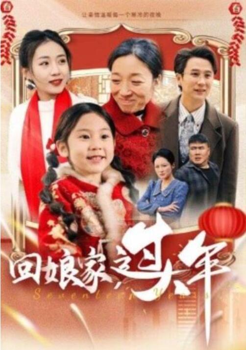 《回娘家，过大年》短剧高清全集免费在线观看  第1张