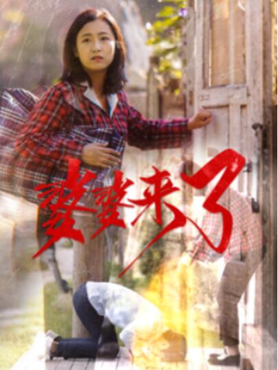 《婆婆来了》短剧高清全集免费在线观看  第1张