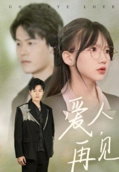 《爱人，再见》短剧高清全集免费在线观看  第1张