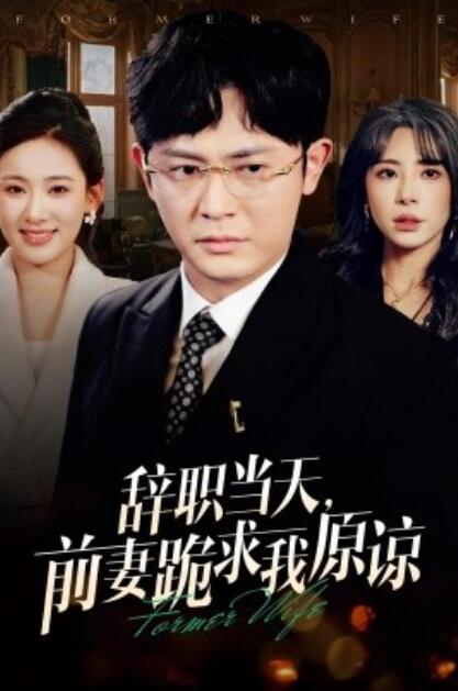 《辞职当天，前妻哭着求我原谅》短剧高清全集免费在线观看  第1张