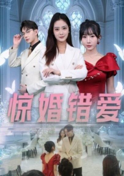 《惊婚错爱》短剧高清全集免费在线观看  第1张