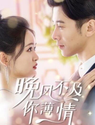 《晚风不及你薄情》短剧高清全集免费在线观看  第1张