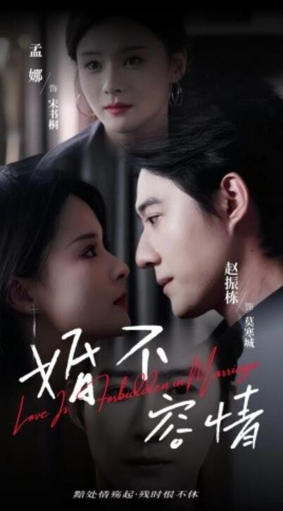 《婚不容情》短剧高清全集免费在线观看播放完整版 婚不容情短剧，婚不容情全集，婚不容情免费观看，婚不容情短剧全集，婚不容情夸克资源 第1张