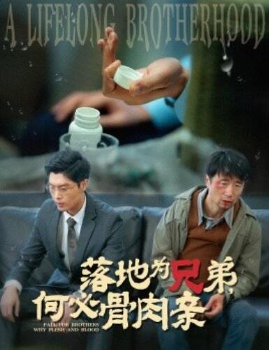 《落地为兄弟，何必骨肉亲》短剧高清全集免费在线观看播放完整版 落地为兄弟何必骨肉亲短剧，落地为兄弟何必骨肉亲全集，落地为兄弟何必骨肉亲免费观看，落地为兄弟何必骨肉亲短剧全集，落地为兄弟何必骨肉亲夸克资源 第1张