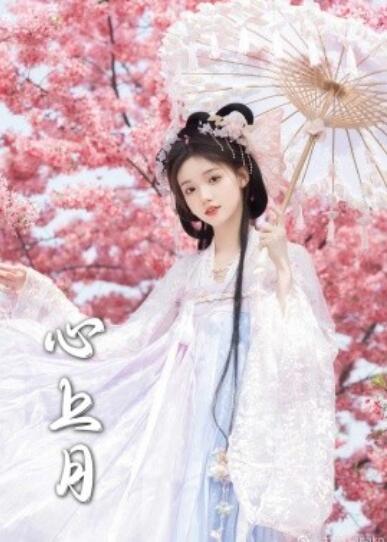 《心上月》短剧高清全集免费在线观看播放完整版 心上月短剧，心上月全集，心上月免费观看，心上月短剧全集，心上月夸克资源 第1张