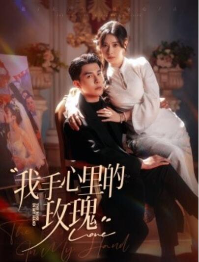 《我手心里的玫瑰》短剧高清全集免费在线观看播放完整版 我手心里的玫瑰短剧，我手心里的玫瑰全集，我手心里的玫瑰免费观看，我手心里的玫瑰短剧全集，我手心里的玫瑰夸克资源 第1张