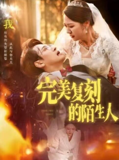 《完美复刻的陌生人》短剧高清全集免费在线观看播放完整版 完美复刻的陌生人短剧，完美复刻的陌生人全集，完美复刻的陌生人免费观看，完美复刻的陌生人短剧全集，完美复刻的陌生人夸克资源 第1张