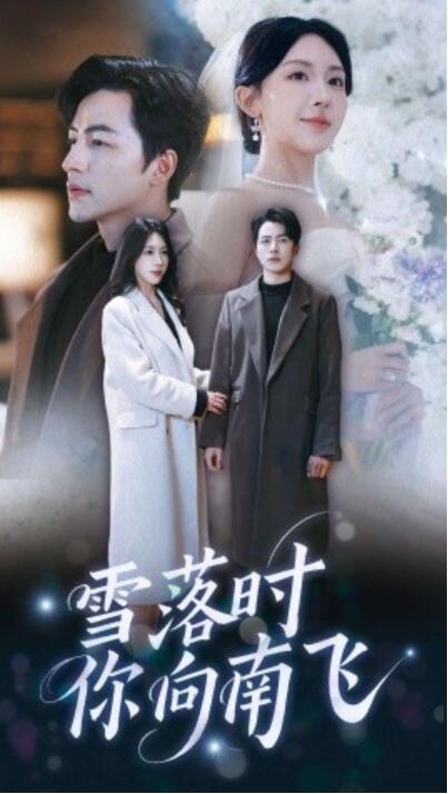 《雪落时你向南飞》短剧高清全集免费在线观看播放完整版 雪落时你向南飞短剧，雪落时你向南飞全集，雪落时你向南飞免费观看，雪落时你向南飞短剧全集，雪落时你向南飞夸克资源 第1张