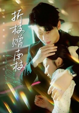《折枝赠南枝》免费在线观看短剧高清全集完整版 折枝赠南枝短剧，折枝赠南枝全集，折枝赠南枝免费观看，折枝赠南枝短剧全集，折枝赠南枝夸克资源 第1张